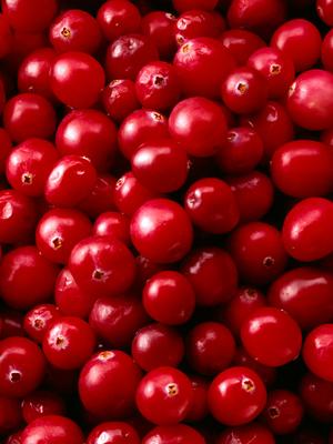 cranberries may prevent cavities leading to affordable dental care