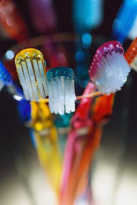 brush your teeth regularly to maintain cheap dentist fees